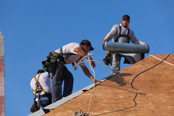 Best Roof Gutter Cleaning  in Flowery Branch, GA